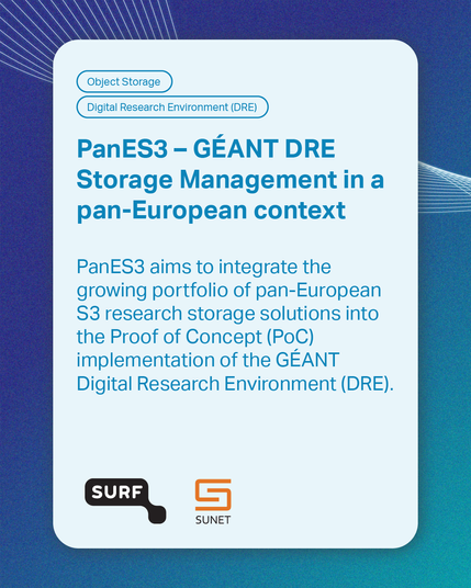 "PanES3 – GÉANT DRE Storage Management in a pan-European context" Project