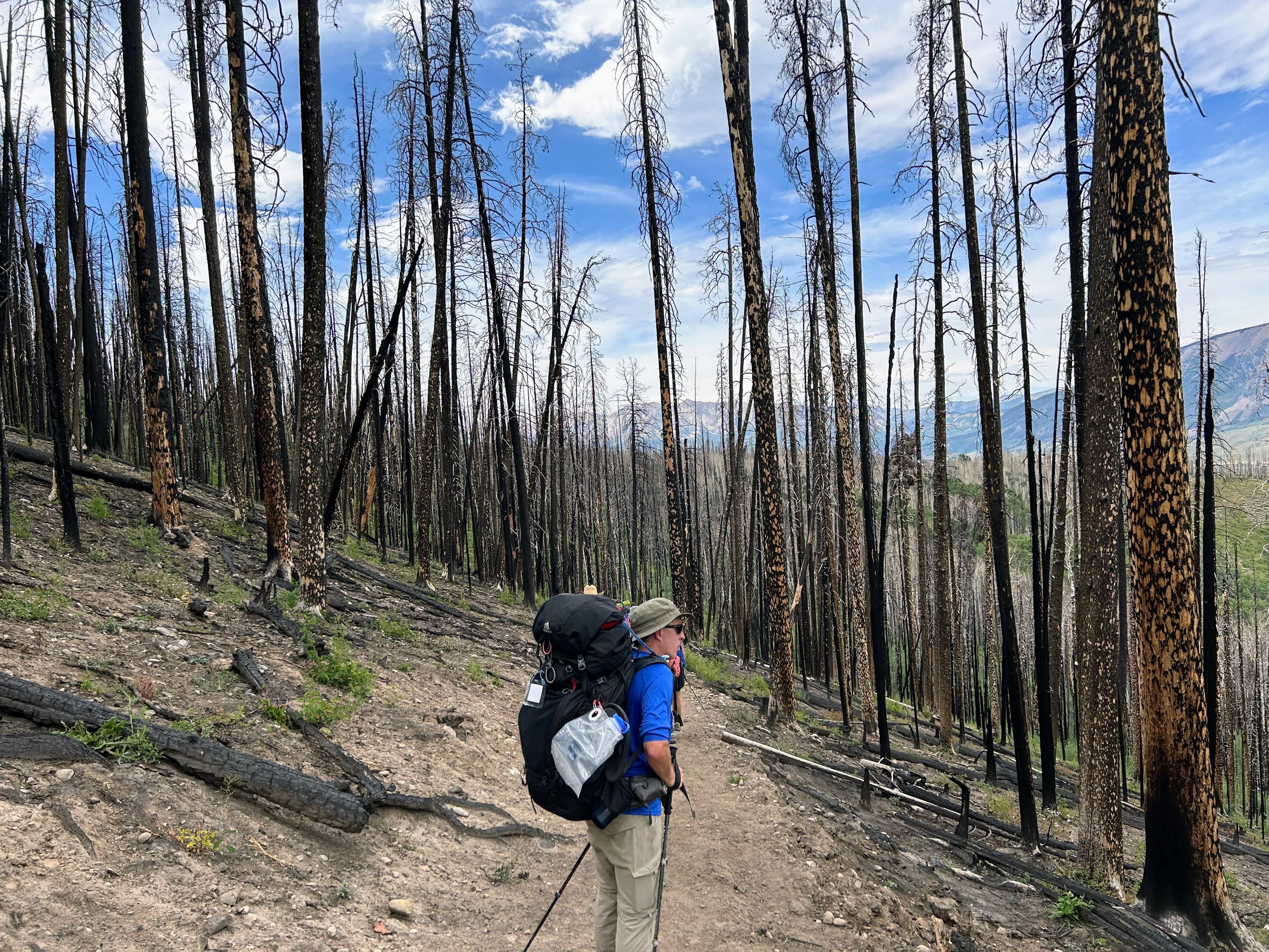A hiker stands on a trail surrounded by tall, burned trees in a post-wildfire landscape. The sky is partly cloudy, and green vegetation is starting to grow among the charred remains. A large backpack is worn by the hiker,