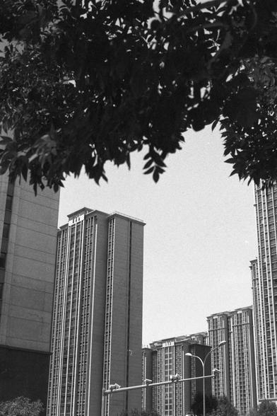 Ilford FP4 Plus 125 (FF)
**English:**
A black-and-white photograph captures a view of tall residential or office buildings framed by tree branches in the foreground. The buildings are modern and high-rise, with a clear sky in the background. The branches create a natural frame, adding a sense of depth and perspective to the urban landscape.

**Chinese:**
这张黑白照片以树枝为前景，拍摄了高层住宅或办公楼的景观。建筑物现代且高耸，背景是清朗的天空。树枝形成了自然的画框，为都市景观增添了深度和透视感。