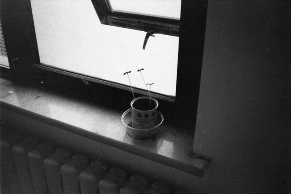 English Alt Text:
A black and white photo of a windowsill with an open window. A small container with long, thin sticks sits inside a shallow dish on the sill, above a radiator.

中文替代文字：
一张黑白照片，展示一个窗台和打开的窗户。窗台上放着一个浅盘，盘中有一个小容器，插着几根细长的枝条，下方是一个暖气片。