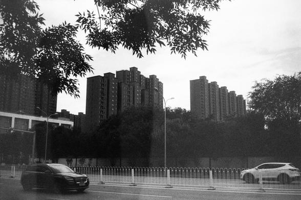 English Alt Text:
A black and white urban scene showing two cars on a road separated by a white metal fence. Tall apartment buildings rise in the background, partially obscured by trees. Tree branches frame the top of the image, and streetlights line the road.

中文替代文字：
一张黑白城市景观照片，前景中两辆汽车在道路上行驶，中间隔着白色金属护栏。背景是几栋高层住宅楼，部分被树木遮挡。画面顶部由树枝和树叶构成框架，道路旁设有路灯。