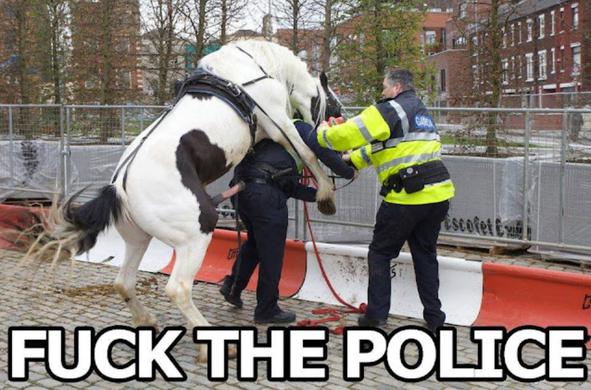 Image of a city street scene with a horse with an erect penis draped over the shoulders of a police officer, with another officer to the side trying to help one or the other.
Caption: Fuck the Police.