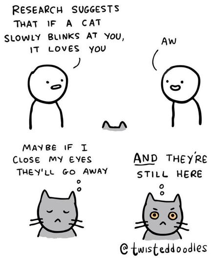  Simple 4-panel cartoon.
First: line drawing of a guy saying, “research suggests that if a cat slowly winks at you, it loves you.”
Second: another guy says, “aw.”
Third: a cartoon cat head thinking, “maybe if I close my eyes they’ll go away.”
Fourth: cat, thinking, “AND, they’re still here.”
