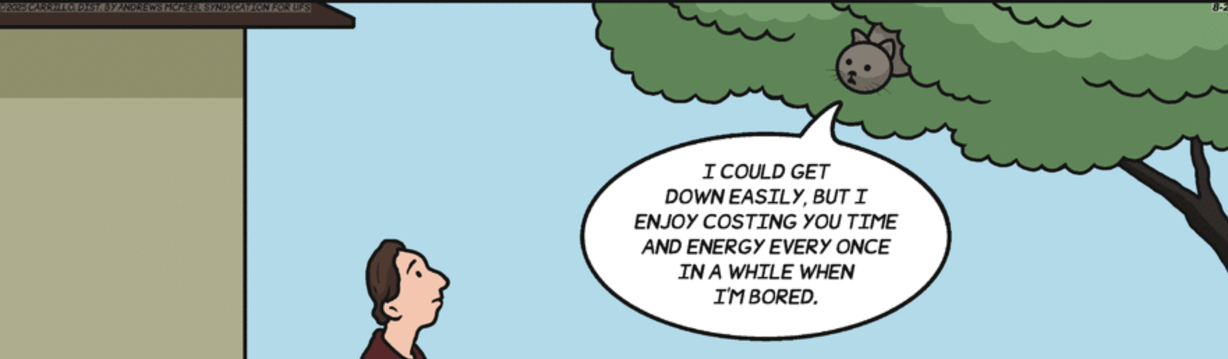 Cartoon. A guy is looking up into a tree. A gray cat in the tree is looking down at the man. The cat is saying, “I could get down easily, but I enjoy costing you time and energy every once in a while when I’m bored.”
