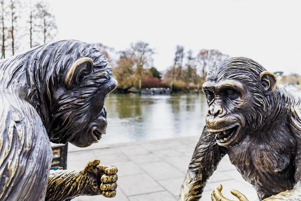 Two bronze chimpanzee statues are posed engaging with each other near a waterfront.