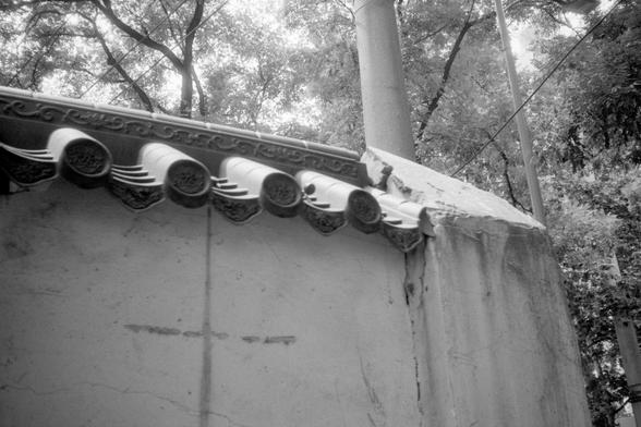 Kentmere Pan 200 (FF)

English Alt Text:
A close-up of a traditional East Asian wall with ornate roof tiles. The tiles are semi-cylindrical with circular decorative ends, arranged in neat rows. The wall shows signs of aging, with visible cracks and weathering. Above the wall, tall utility poles and wires stretch across the sky. Dense tree foliage fills the background, blending nature with man-made elements. The image captures the coexistence of heritage architecture and modern infrastructure.

…