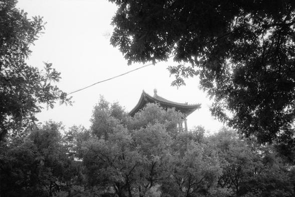 Kentmere Pan 200 (FF)

English Alt Text:
A multi-tiered East Asian pagoda rises behind dense foliage. Its upturned eaves and layered rooflines reflect classical Chinese architecture. Tall trees with lush leaves frame the structure, and a single wire stretches across the top of the image. The grayscale palette adds a serene, timeless quality, blending nature and heritage in quiet harmony.

中文替代文字：
一座多层东亚风格的宝塔隐藏在茂密的树叶后方。屋檐上翘，屋顶层层叠叠，展现出典型的中国古典建筑风格。高大的树木枝叶繁茂，将塔楼环绕。画面上方横穿一根电线。黑白色调赋予画面宁静而永恒的气息，自然与文化遗…