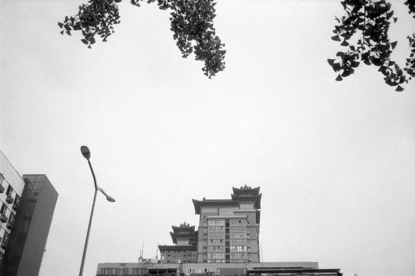 Kentmere Pan 200 (FF)

English:
A cityscape in black and white featuring a modern building with glass windows and a traditional East Asian-style roof. The roof has upturned eaves and layered tiers. Tree branches frame the top. The overcast sky emphasizes the contrast between old and new design.

中文：
黑白城市景观，中央建筑为现代玻璃结构，顶部却采用东亚传统屋顶设计，飞檐层叠。画面上方有树枝，天空阴沉，突显新旧建筑风格的对比。