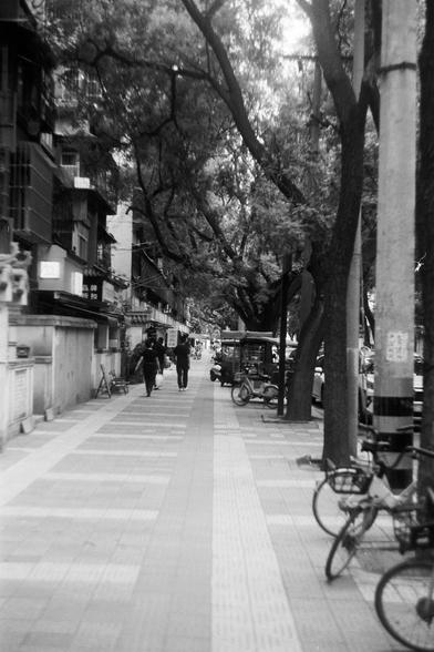FUJIFILM NEOPAN F (FF)

English Alt Text:
A black-and-white photo of a city sidewalk lined with large trees forming a canopy overhead. The tiled walkway includes a tactile path for visually impaired pedestrians. Bicycles are parked along the edge, and a few people walk in the distance. On the left, storefronts and signs suggest a commercial area. The scene blends nature and urban life, with shadows and textures adding depth.

中文替代文字：
这是一张黑白照片，描绘了城市人行道的景象。人行道两旁是枝繁叶茂的大树，形成树冠遮蔽。地面铺有瓷砖，并设有盲道供视障者使用。…
