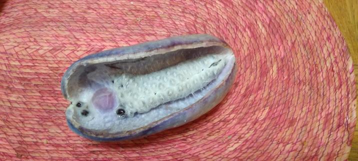 Purplish pod with off-white pulpy core and black seeds.