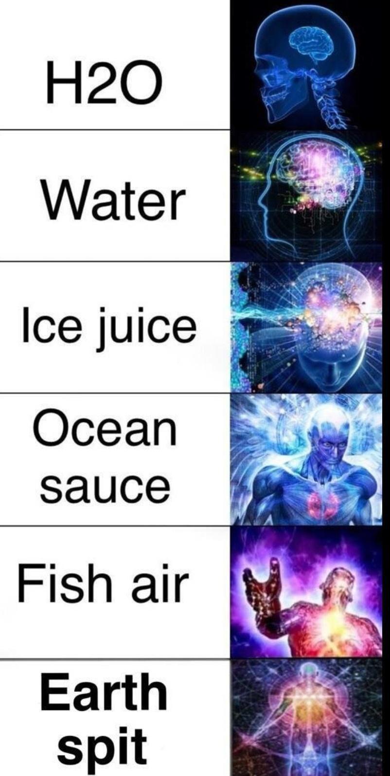 Various levels of mind blown/enlightenment meme:
H2O
Water
Ice Juice
Ocean Sauce
Fish Air
Earth Spit
