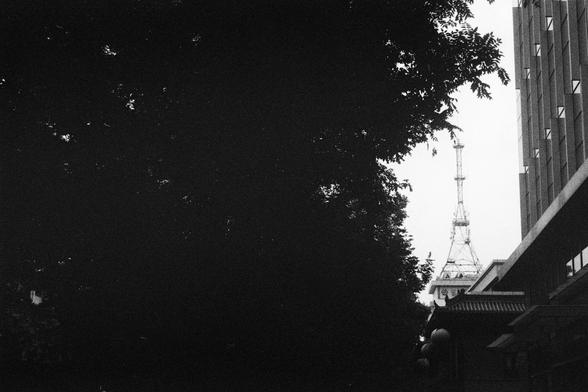 Kodak Double-X 5222 (FF)

English Alt Text:
A black-and-white photo of a city scene. On the left, a large tree with dense leaves casts a dark silhouette, partially obscuring a tall telecommunications or radio tower in the background. The tower rises above the skyline, its structure faintly visible through the branches. On the right, a modern multi-story building stands with vertical lines and rectangular windows, reflecting light. The contrast between the organic shape of the tree and the geome…
