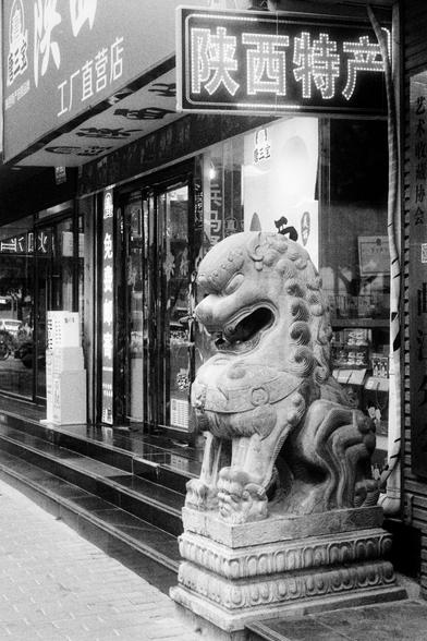 Kodak Double-X 5222 (FF)

English Alt Text:
A traditional Chinese stone lion statue stands guard at the entrance of a store. The lion has a fierce expression, open mouth, and a curled mane, carved with intricate detail. It rests on a decorated pedestal. Behind it, the store displays illuminated signs in Chinese characters: “Shaanxi Specialty Products” and “Factory Direct Store.” The black-and-white photo adds a timeless quality, emphasizing cultural heritage and craftsmanship.

中文替代文本：
一尊传统中国石狮…