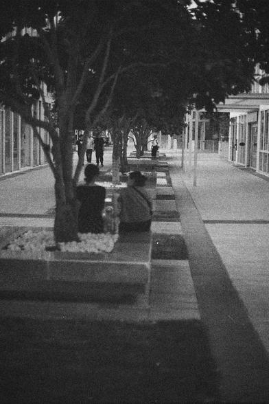 Ilford HP5 Plus 400 (FF)

English Alt Text:
A monochrome image of a city walkway lined with trees and benches. The path is paved and flanked by modern buildings with large glass windows. Two people sit on a bench in the foreground, while others walk or stand further down the path. Each tree is planted in a rectangular plot filled with white stones. The photo has a grainy texture, suggesting it was taken with film or edited for a vintage look. The scene feels peaceful and urban, with a balance o…