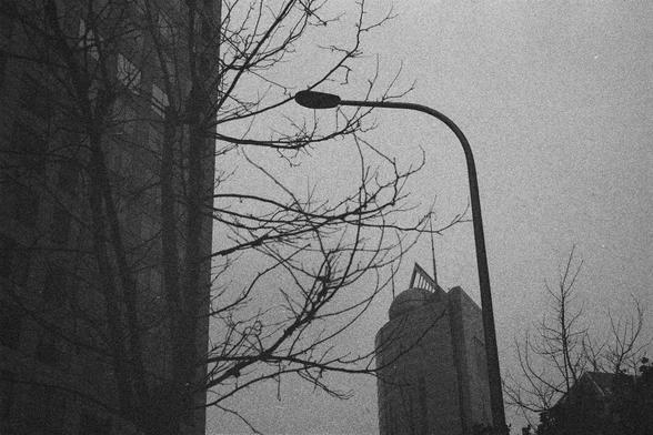 Ilford HP5 Plus 400 (FF)

English Alt Text:
A moody black-and-white photo of an urban scene. In the foreground, a tall streetlight stands beside bare tree branches that stretch across the frame. Two tall buildings rise in the background, one partially obscured and the other featuring a triangular architectural element at its peak. The sky is overcast or foggy, creating a somber, atmospheric tone. The contrast between the natural branches and rigid buildings adds visual tension and depth.

中文替代文…
