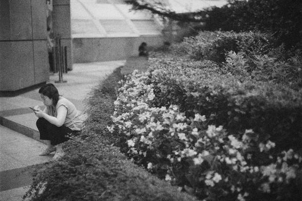 Ilford HP5 Plus 400 (FF)

English Alt Text:
A person sits on the edge of a paved path, looking down at a handheld device. Nearby are neatly trimmed hedges with blooming flowers. In the background, another person sits alone near a building with large windows. The scene feels quiet and contemplative.

中文替代文字：
一人坐在铺设的人行道边缘，低头看着手持设备。旁边是修剪整齐的灌木和盛开的花朵。远处另一人独自坐在带大窗户的建筑旁，画面宁静而沉思。