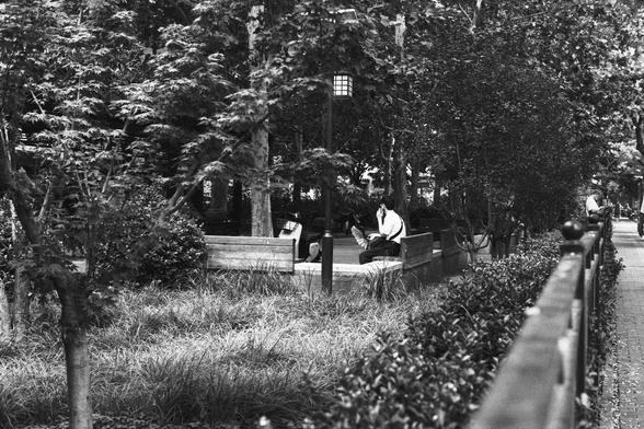 Lucky Lucky SHD 400 (FF)

English Alt Text:
A tranquil black-and-white image of a park shows several people sitting on benches surrounded by trees, bushes, and tall grass. A lamp post stands near the center. On the right, a paved path bordered by a metal railing and trimmed hedges leads away. The people appear relaxed, reading or using devices. The scene evokes peace and quiet, ideal for reflection or rest.

中文替代文字：
这是一张宁静的黑白公园照片，几位市民坐在长椅上，周围环绕着树木、灌木和高草。中央有一根路灯杆。右侧是一条铺砖小道，边缘设有金属栏杆和修剪整齐的绿篱。人们看起来…