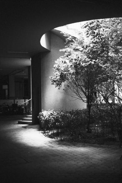 Lucky Lucky SHD 400 (FF)

English Alt Text:
A dramatic black-and-white architectural photo. A circular skylight in the ceiling casts natural light onto a small garden below, filled with trees and bushes. The contrast between light and shadow is striking. To the left, a staircase leads to a platform or entrance. In the background, bikes suggest a public or communal space. The design blends nature with modern architecture.

中文替代文字：
这是一张具有戏剧感的黑白建筑照片。天花板上的圆形天窗将自然光洒在下方的小型花园，花园中有树木和灌木。光影对比强烈。左侧有楼梯通向平…