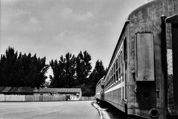 Lucky Lucky SHD 400 (FF)

English Alt Text:
A vintage black-and-white photograph of a train traveling along a curved railway track. The train is positioned on the right, showing its side and windows. The exterior is aged, suggesting it’s no longer in service. In the background, tall trees tower over a row of small sheds with slanted roofs. The sky is mostly clear with a few clouds. The composition emphasizes the curve of the track and the train’s length, creating a sense of motion and history.
…