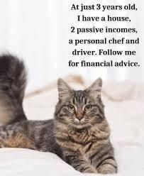 Picture of a cute cat.
At just 3 years old, I have a house, 2 passive incomes,a personal chef and driver. Follow me for financial advice.