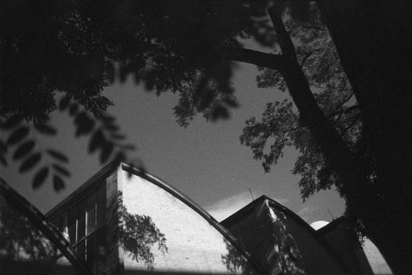 Ilford HP5 Plus 400 (FF)

English Alt Text:
A black-and-white photo taken from a low angle, looking up at the sky. On the right, a building with curved and angular architectural features is partially visible. Tree branches and leaves form dark silhouettes across the frame, adding depth and framing the scene. The sky is faintly speckled with light, possibly stars. The image evokes a quiet, introspective mood through its contrast of nature and structure.

中文替代文字：
这是一张黑白照片，从低角度仰望天空。画面右侧是一座建筑，轮廓曲线与…