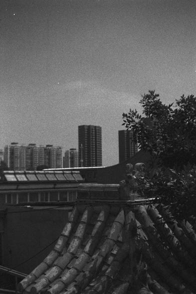 Ilford HP5 Plus 400 (FF)

English Alt Text:
A black-and-white cityscape showing contrast between old and new. In the foreground, a traditional tiled roof with weathered texture suggests historical architecture. A leafy tree partially obscures the view. In the background, sleek high-rise buildings tower above, representing modern urban development. The image captures the coexistence of heritage and progress in a single frame.

中文替代文字：
这张黑白城市风景照展现了传统与现代的对比。前景是一座传统瓦屋顶，瓦片斑驳，透露出历史的痕迹。右侧有一棵树，枝叶茂密，部分遮…