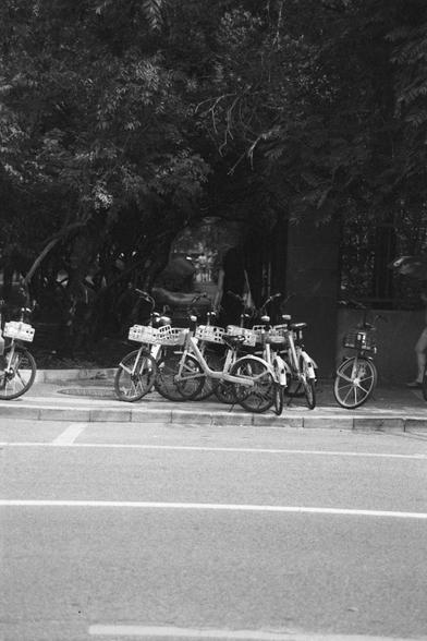 Ilford HP5 Plus 400 (FF)

English Alt Text:
A group of identical bicycles with front baskets are parked neatly on a sidewalk beneath dense tree cover. The scene is shaded, creating a quiet, contemplative mood. These bikes appear to be part of a public bike-sharing system. In the background, a person walks through a tree-lined opening, suggesting a path or park entrance. The black-and-white tone adds a nostalgic, documentary feel to this urban moment.

中文替代文字：
一群带有前篮的共享单车整齐地停放在人行道上，头顶是茂密的树冠，营造出安…