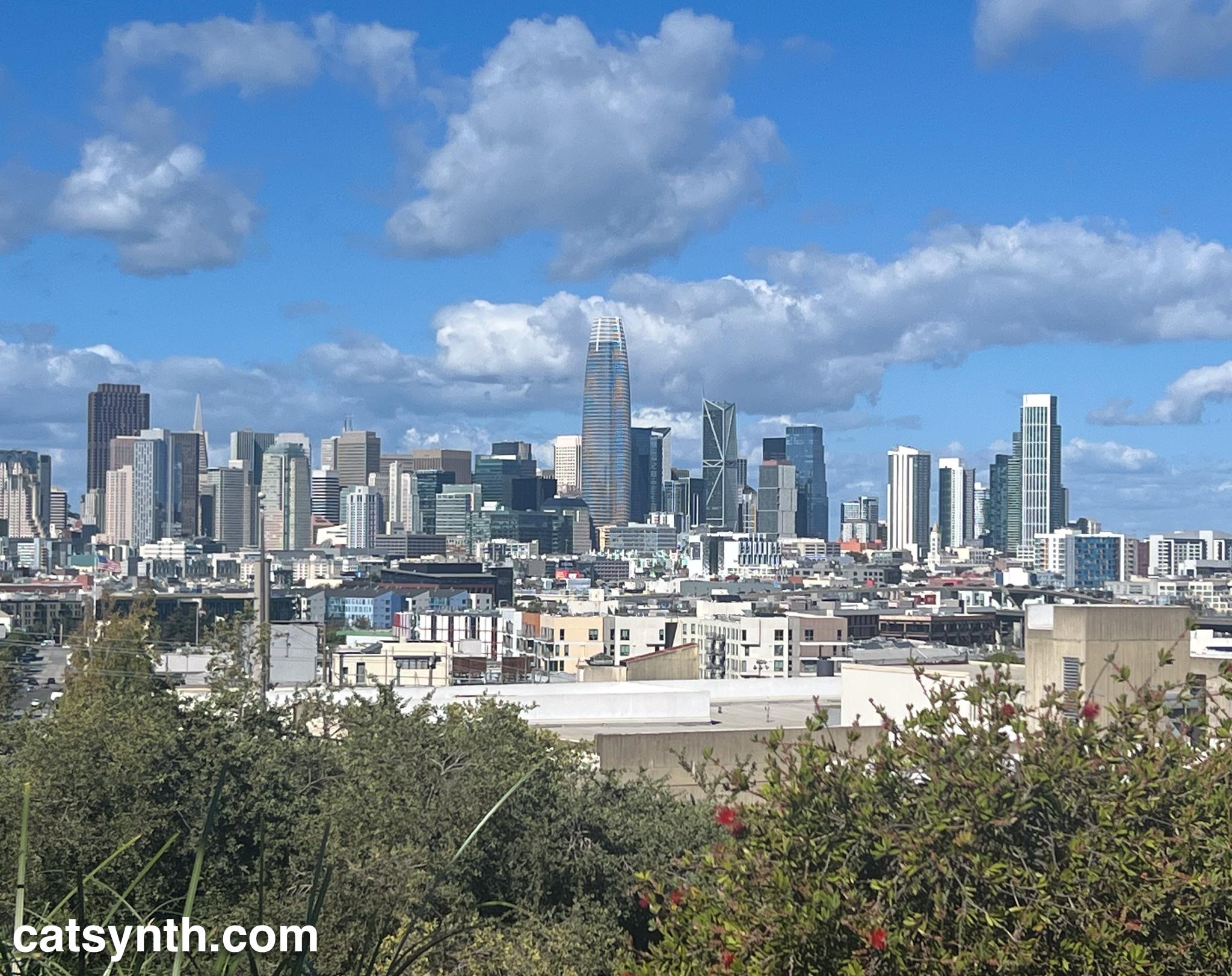 Looking at the tall buildings of the downtown San Francisco skyline, with lots of vegetation in the foreground.