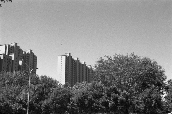 Kentmere Kentmere PAN 400 (FF)

English Alt Text:
A monochrome photo of tall, uniform apartment buildings in the background, likely part of a residential complex. In the foreground, dense trees and foliage partially obscure the lower parts of the buildings. A streetlight stands on the left side. The sky is clear, and the image captures the coexistence of urban living and nature.

中文替代文字：
这是一张黑白照片，背景是几栋高大且设计统一的公寓楼，可能属于一个住宅区。前景中有茂密的树木和植被，遮挡了建筑物的下部。左侧有一盏路灯。天空晴朗，画面展现了城市居住环境与自然绿化的共存。