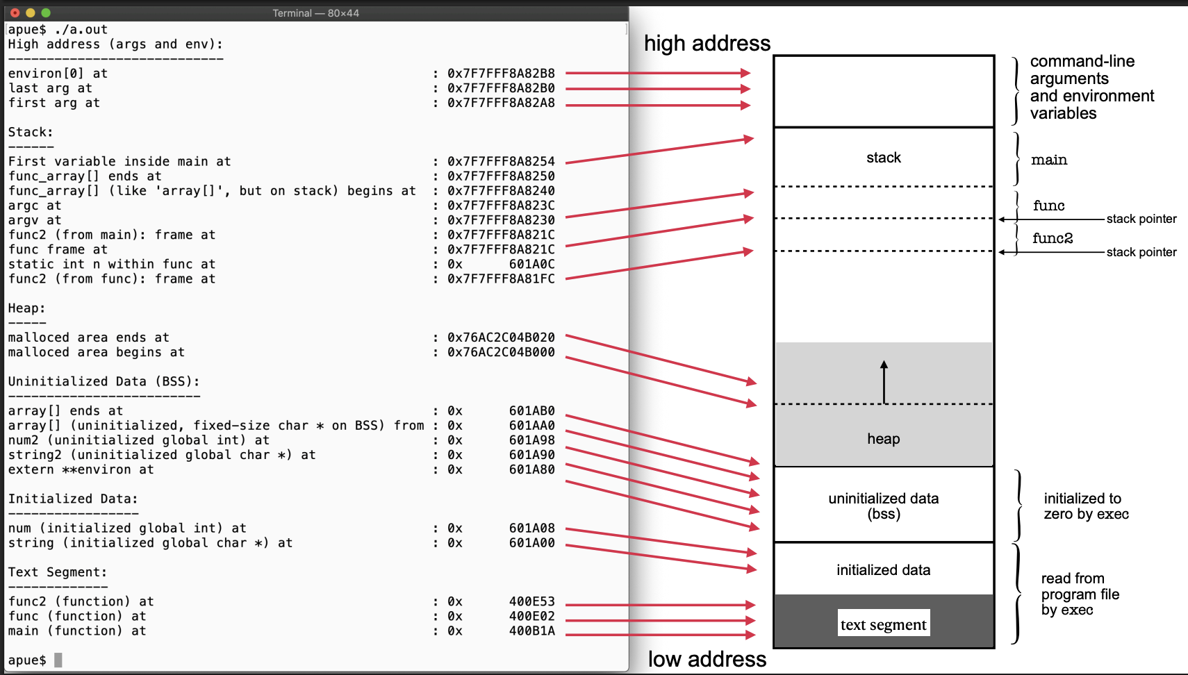 Sorry, no caption provided by author