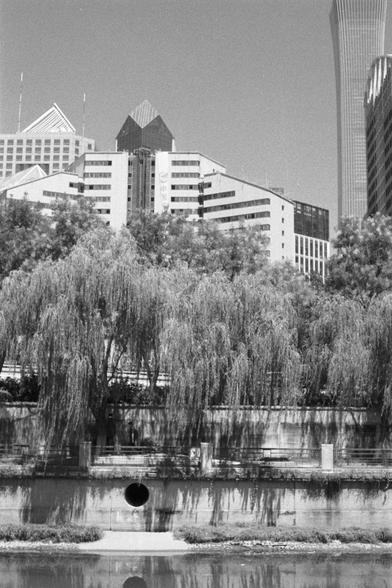 Kentmere Kentmere PAN 400 (FF)

English Alt Text:
A grayscale photo showing a concrete embankment with a circular drainage pipe opening into a canal or river. Above the embankment, large willow trees with drooping branches shade a tiered seating area. In the background, modern high-rise buildings with varied shapes—triangular roofs and curved facades—rise above the trees. The image contrasts natural tranquility with urban complexity.

中文替代文字：
这是一张灰度照片，前景是混凝土堤岸，带有圆形排水口通向河流或运河。堤岸上方是垂柳，遮蔽着阶梯式座位区。背…