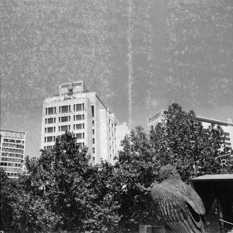 Ilford HP5 Plus 400 (6x6)

English Alt Text:
A black-and-white photograph of a cityscape featuring mid-20th century architecture. The central building is a multi-story hotel with the sign “THE RITZ-CARLTON” on top. It has rectangular windows and a flat roof. In the foreground, leafy trees partially obscure the buildings. A detailed statue of a bird—possibly an eagle or hawk—stands on a pedestal, wings tucked, facing forward. The sky is clear, and the image has a grainy texture, suggesting it is…