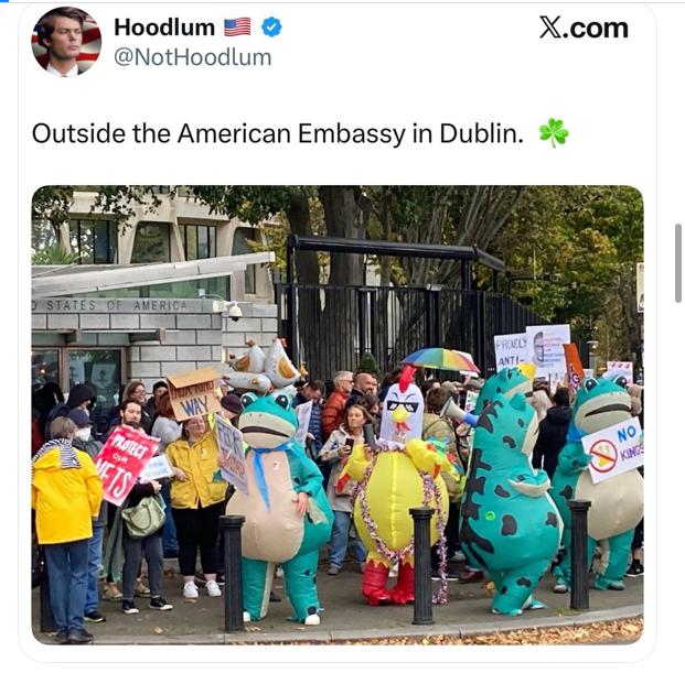 Outside the American Embassy in Dublin.
People in frog and chicken costumes and others