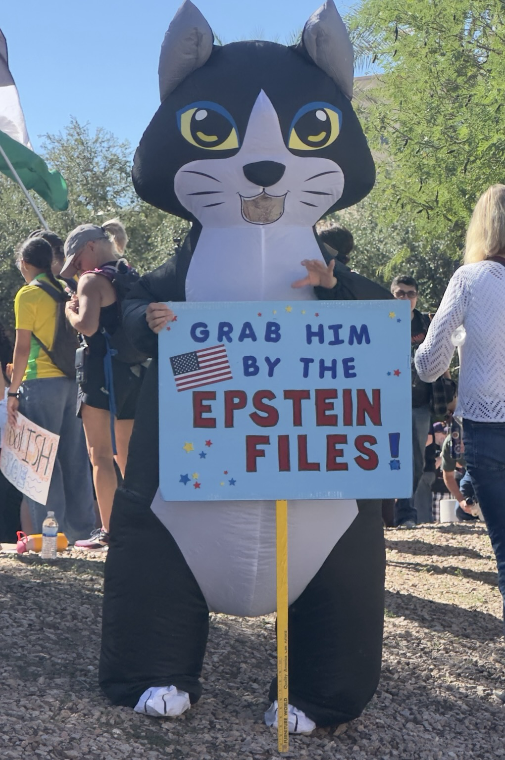 Person wearing inflatable black and white cat costume, holding sign that says “Grab him by the Epstein Files!”