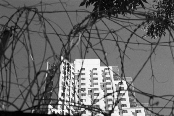 Kentmere Kentmere PAN 400 (FF)

English Alt Text: A black and white photo of a tall residential building with modern architecture, featuring rows of windows and balconies. In the foreground, tangled barbed wire dominates the lower part of the image, out of focus but visually striking. The contrast between the harsh, chaotic wire and the orderly structure of the building creates tension. Tree branches and leaves frame the top of the image, and the sky is clear. The juxtaposition suggests themes …