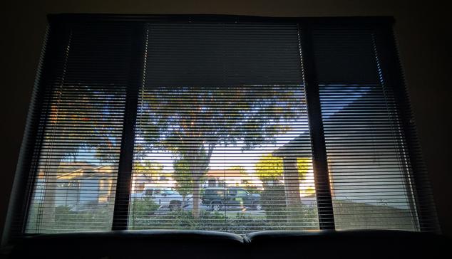 Looking through a suburban window with Venetian blinds an hour after sunrise parked cars and trucks are nestled between lush green bushes and trees. Various stucco structures are also visible. 