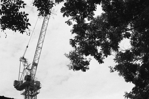 Kentmere Kentmere PAN 400 (FF)

English Alt Text:
A black-and-white photo of a tall construction crane partially hidden by tree branches. The crane has a lattice structure and a cabin near the base of its arm, which extends diagonally upward. The branches frame the image from the top and right, creating a contrast between the industrial machinery and nature. The sky is mostly clear with faint clouds, giving the scene a quiet, contemplative mood. The juxtaposition of steel and leaves evokes them…