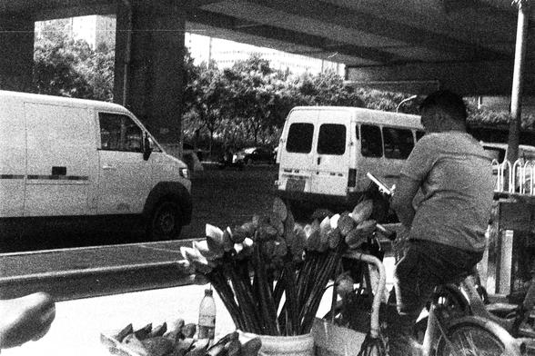 ORWO P400 (FF)

English Alt Text:
A black-and-white photo taken under an overpass shows a man sitting on a bicycle next to a street vendor’s table. The table is filled with lotus flowers and other goods, with a plastic bottle also visible. Two white vans are parked in the background, and trees line the far side of the road. The image captures a slice of urban life, highlighting informal commerce and daily routines in a gritty, textured style.

中文替代文本：
这张黑白照片拍摄于高架桥下，画面中一名男子坐在自行车上，旁边是一张街头小贩的桌子。桌上…
