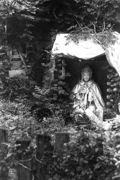 ORWO P400 (FF)

English Alt Text:
A grayscale photograph depicts a serene outdoor shrine nestled in dense vegetation. At its center is a statue of a robed figure, possibly a deity or spiritual icon, seated within a niche. The statue is draped in flowing garments and surrounded by hanging strings of round objects, possibly prayer beads. A cloth canopy partially covers the shrine. A rustic wooden fence encloses the area, enhancing the secluded and meditative ambiance.

中文替代文字：
这是一张灰度照片，展现一个宁静的户外神…