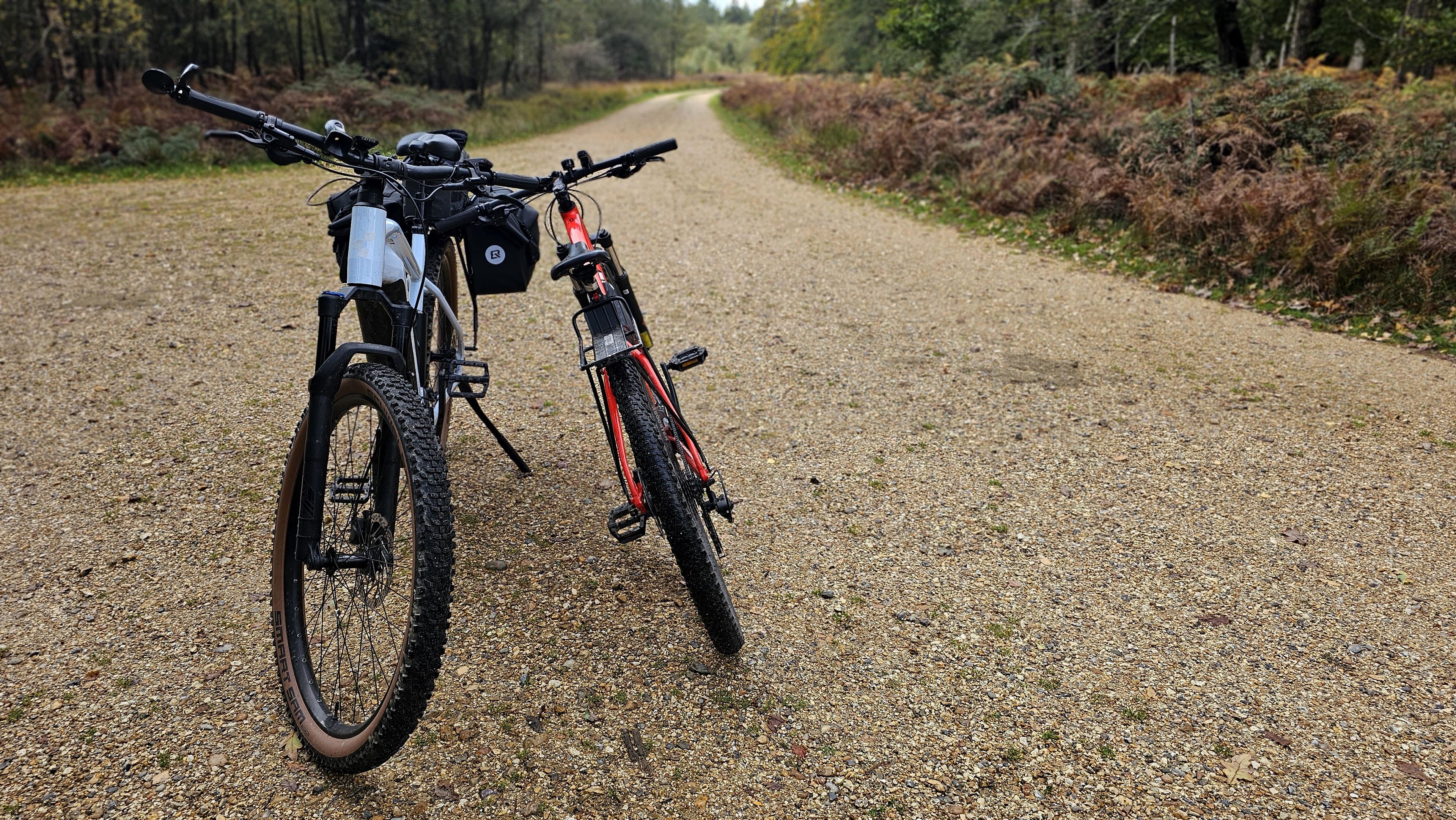 A red and  a white bike leaning together on a forest track.
