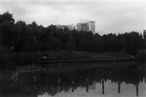 ORWO P400 (FF)

English Alt Text: A black and white photo showing a quiet pond with wooden posts emerging from the water. A wooden walkway crosses the pond, partially hidden by tall grasses. Two small human figures are visible on the walkway. Behind the pond is a dense line of trees, and in the far background, tall apartment buildings rise above the treetops. The image contrasts natural serenity with urban development.

中文替代文字：
这是一张黑白照片，画面中是一个宁静的池塘，水面上有几根木桩。一条木质步道横跨池塘，被高高的芦苇部分遮挡。步道上有两个人影。池塘后方是一…