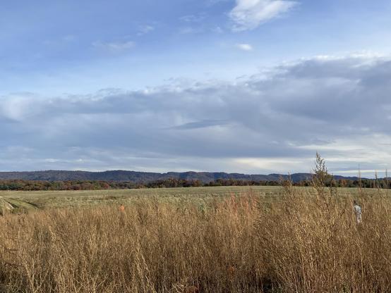 A scenic view of a grassy field with sparse tall brown vegetation in the foreground, set against a backdrop of rolling hills and a cloudy sky. Autumn foliage can be seen on the hills, indicating the season.