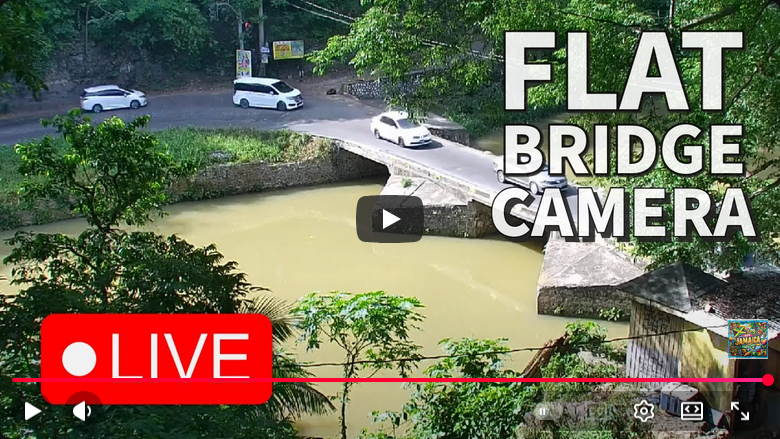 Sorry, no caption provided by author