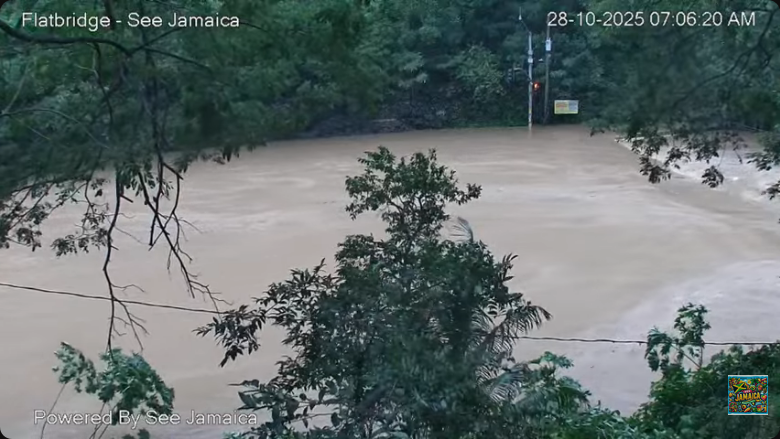 Sorry, no caption provided by author