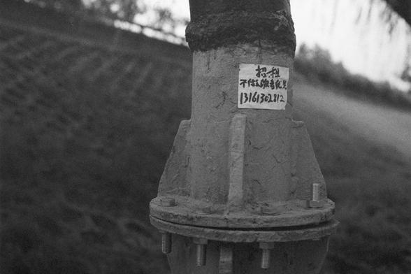 Ilford HP5 Plus 400 (FF)

English Alt Text:
A close-up view of a large metal pipe, likely part of a water or gas pipeline system. The pipe is joined by a flange with several bolts and has a handwritten label attached. The label reads “招租 不做饭者优先 1361302812”. The background shows a landscape with rows of trees, suggesting the pipe is part of a infrastructure. The scene is outdoors, with natural light and a clear sky.

中文替代文本：
这是一张大型金属管道的特写图像，可能属于供水或天然气管道系统。管道通过法兰和多个螺栓连接，顶部贴有手写标签，内容为“招租 不做饭者优先 136…