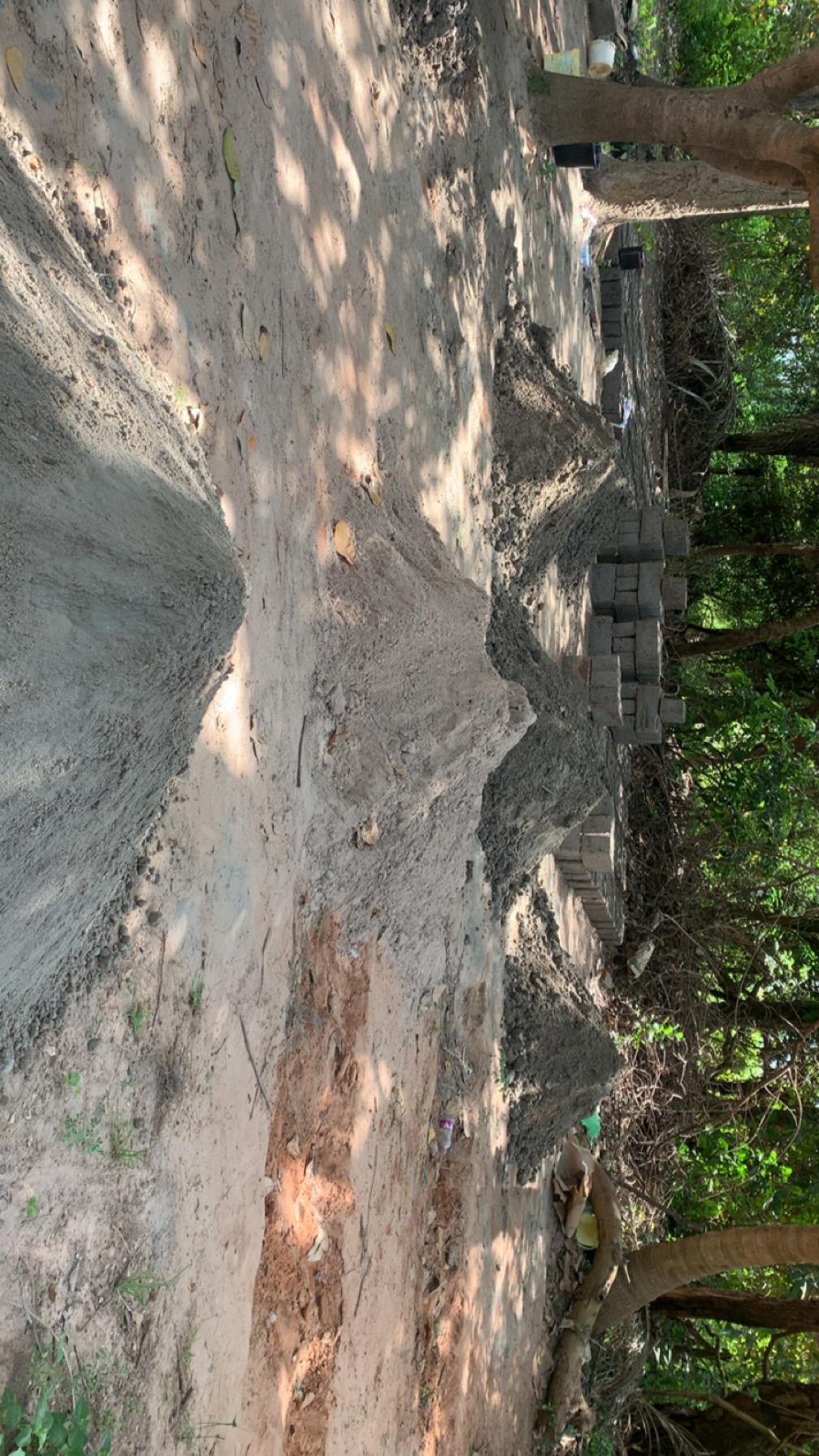 Sorry, no caption provided by author