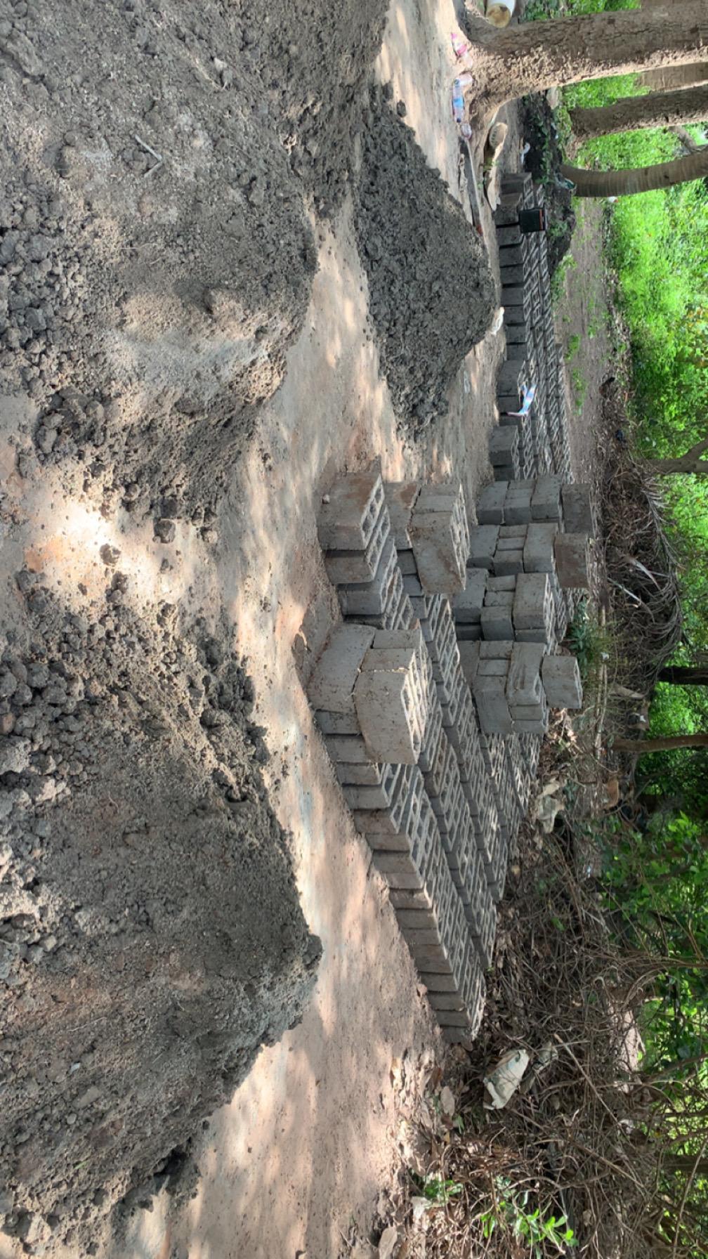 Sorry, no caption provided by author