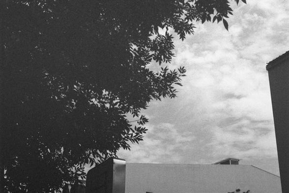 Ilford HP5 Plus 400 (FF)

English Alt Text:
A grayscale photo showing part of a building with a flat roof and a small rooftop structure. A large tree with dense leaves occupies the left side, its silhouette contrasting against a cloudy sky. Another building is partially visible on the right. The image blends natural and architectural elements, evoking a quiet urban moment.

中文替代文字：
这是一张灰度照片，画面中有一栋平顶建筑及其屋顶上的小结构。左侧是一棵枝叶茂密的大树，其剪影与多云的天空形成鲜明对比。右侧边缘隐约可见另一栋建筑。画面融合了自然与建筑元素，呈现出一个静谧的城市瞬间。