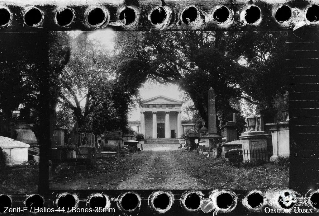 Columned grand building, at the end of a tree and gravestone lined avenue