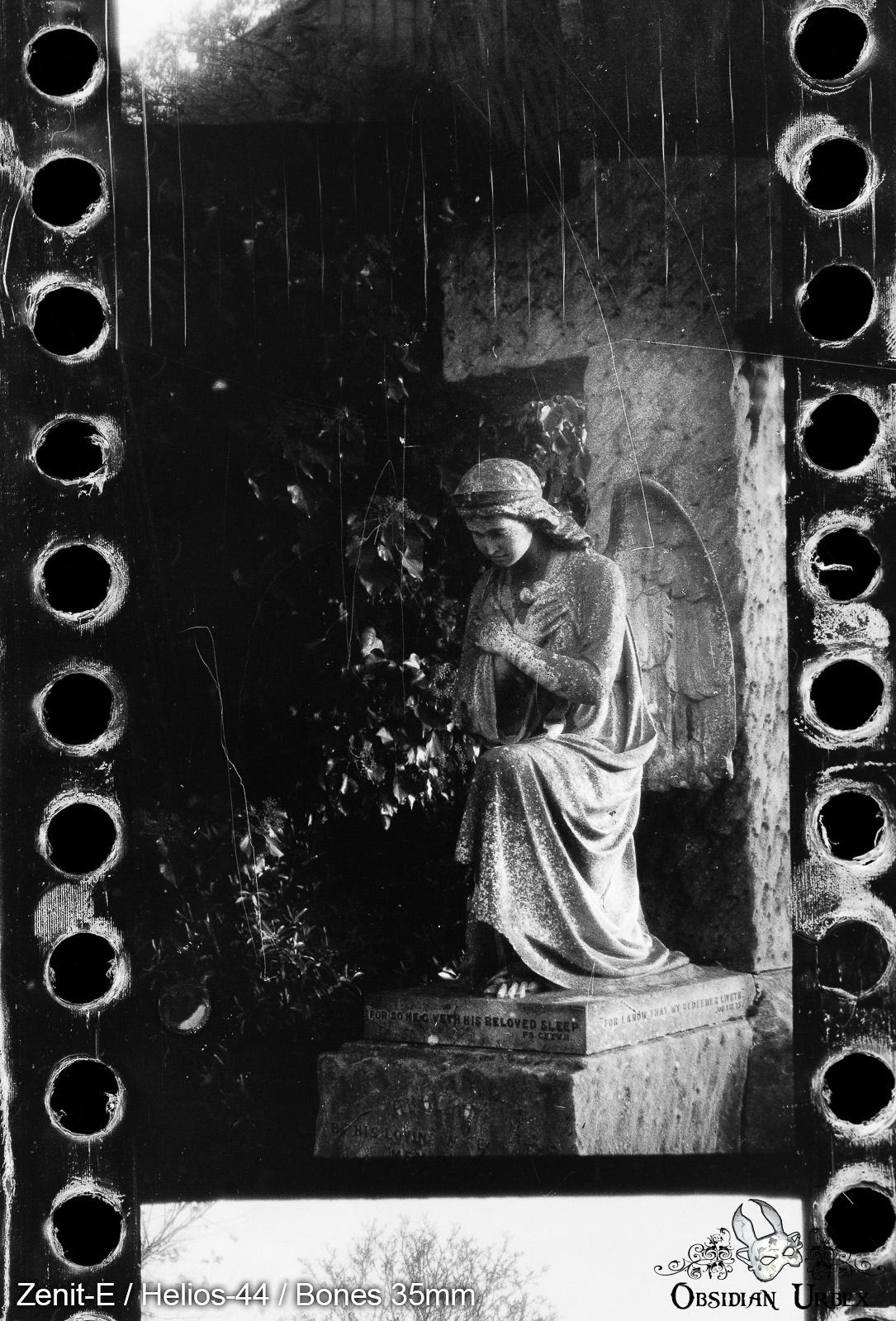 angel gravestone with ivy